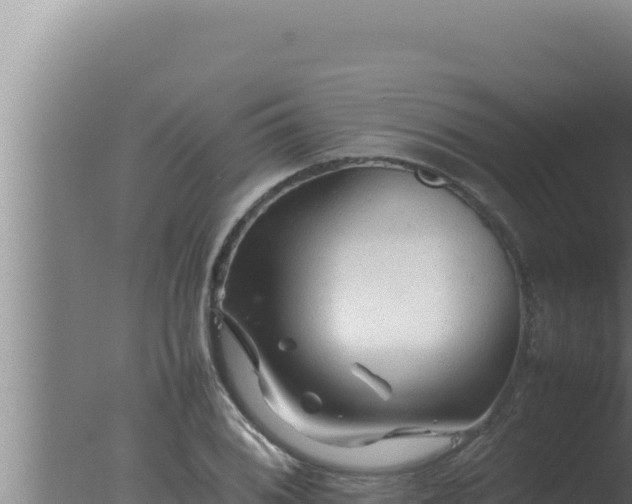 X0000077381076200610271940