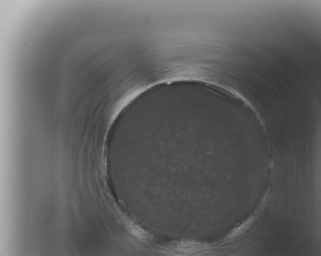 X0000077381077200610271940