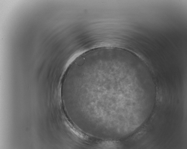 X0000077381078200610271940