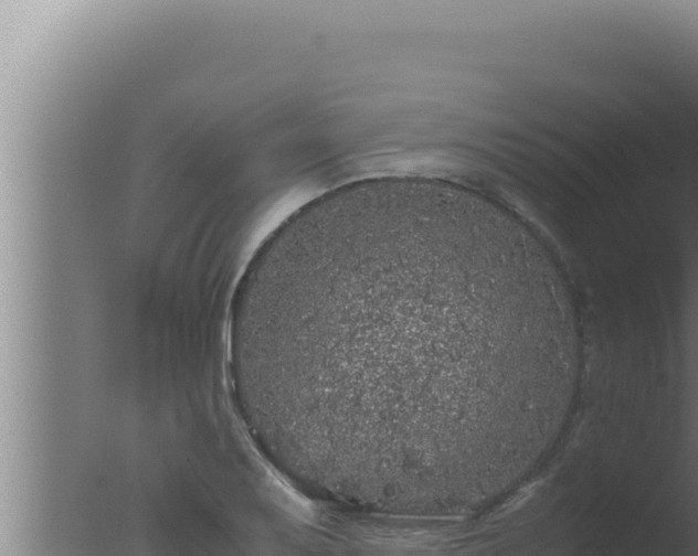 X0000077381079200610271940