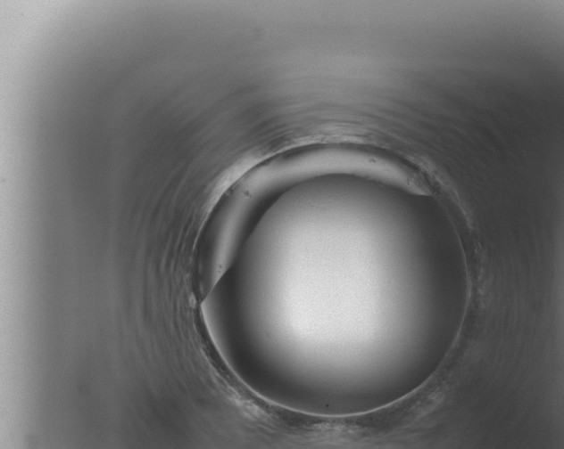 X0000077381081200610271940