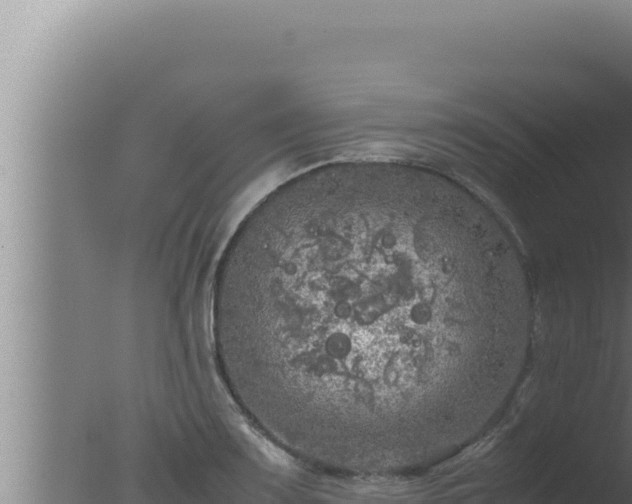 X0000077381083200610271940