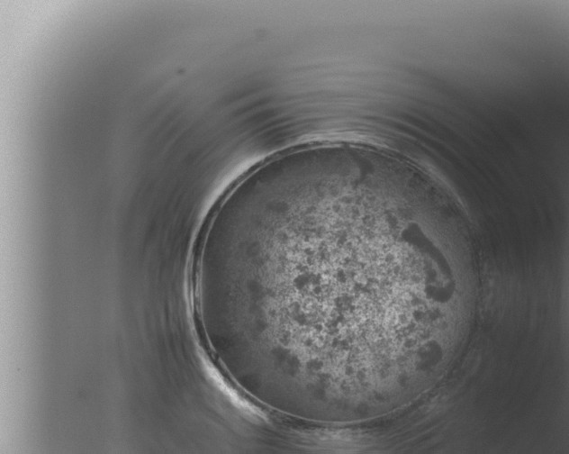 X0000077381084200610271940