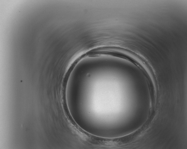 X0000077381085200610271940