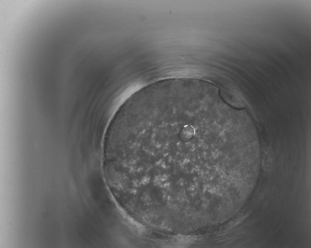 X0000077381087200610271940