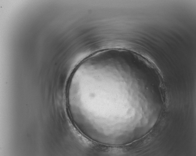 X0000077381088200610271940