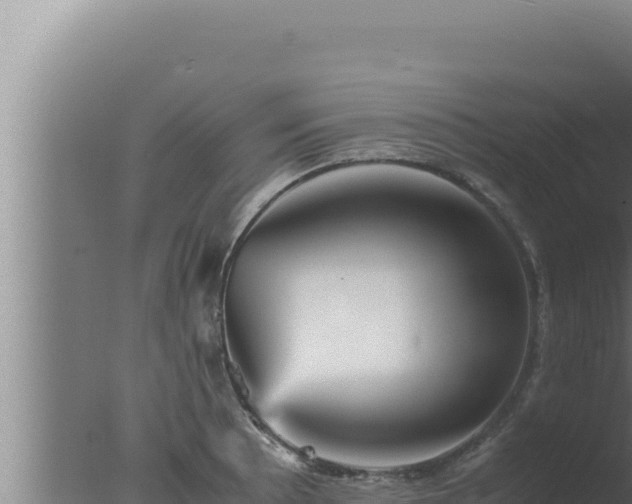 X0000077381089200610271940