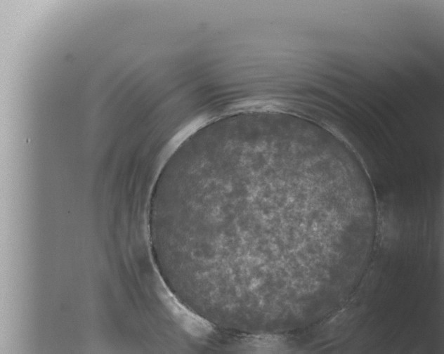 X0000077381090200610271940