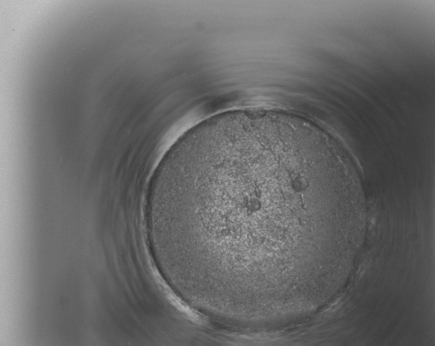 X0000077381091200610271940