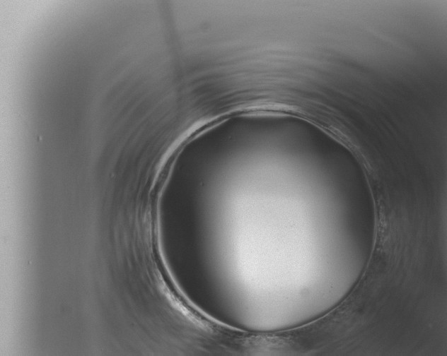 X0000077381092200610271940