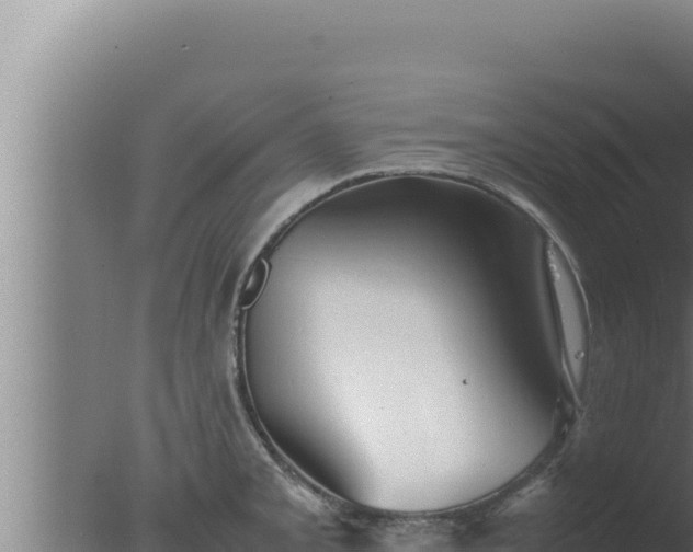 X0000077381093200610271940