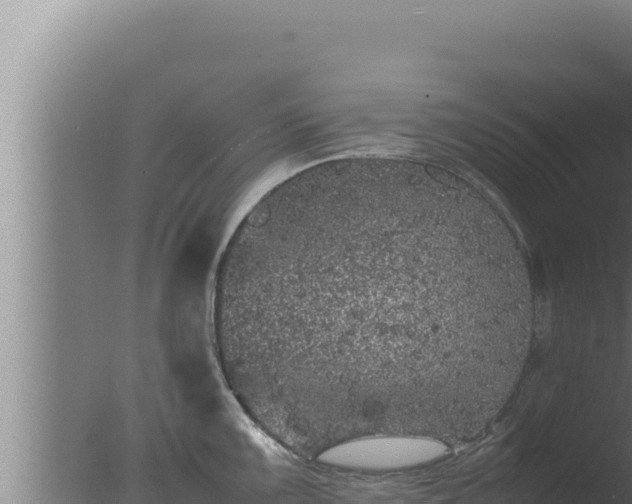 X0000077381099200610271939