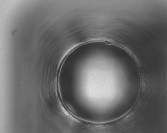 X0000077381100200610271939