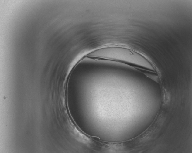 X0000077381102200610271939