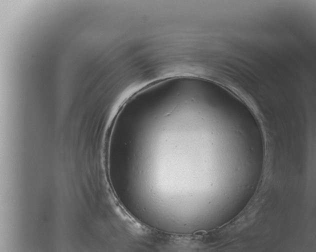 X0000077381104200610271939