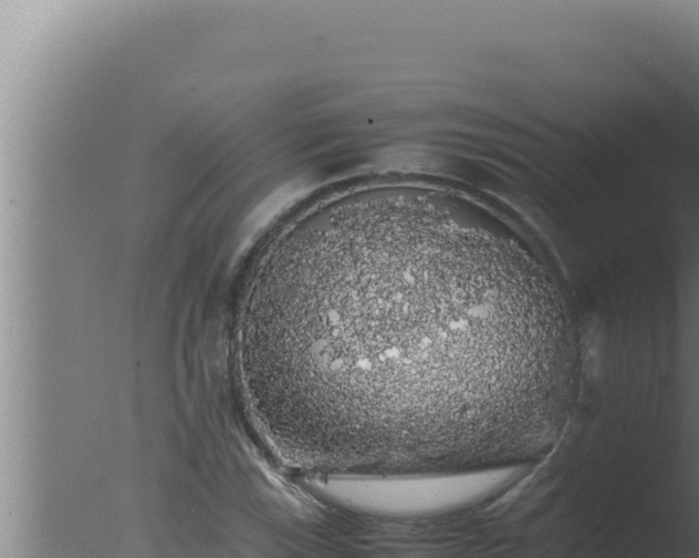 X0000077381115200610271939