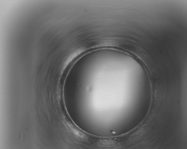 X0000077381119200610271939