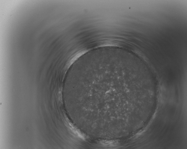 X0000077381121200610271939