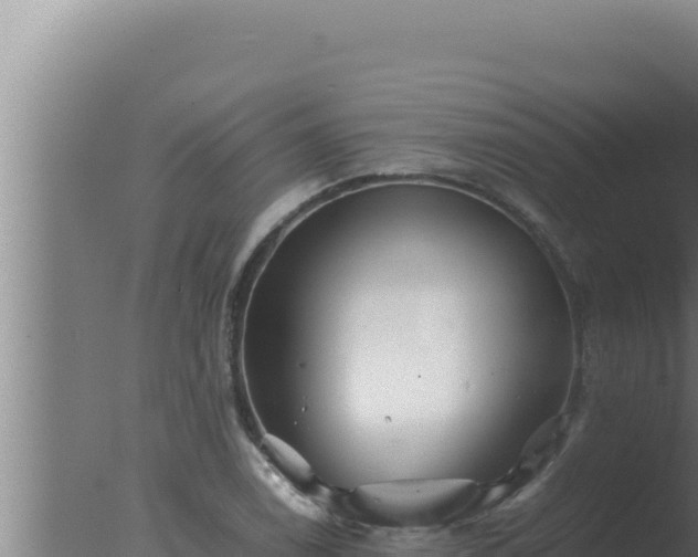 X0000077381122200610271939