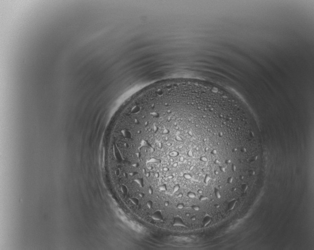 X0000077381125200610271939