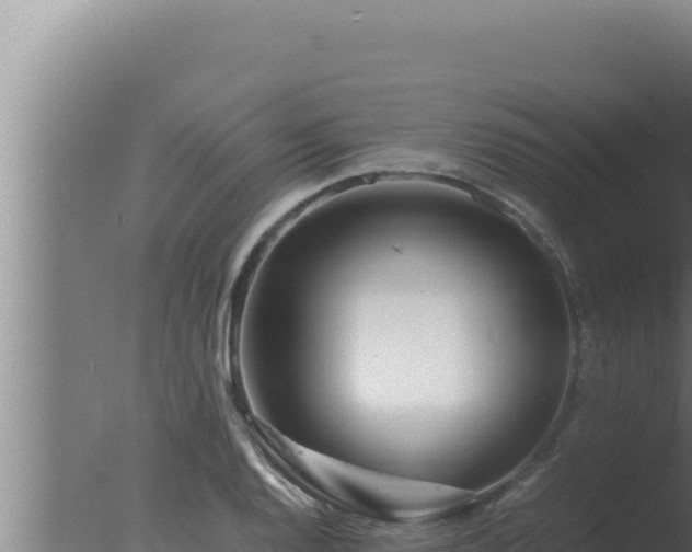 X0000077381128200610271939