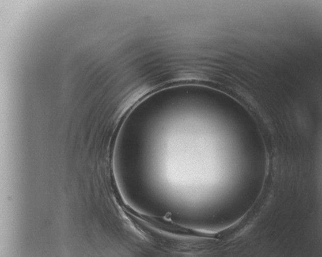 X0000077381129200610271939