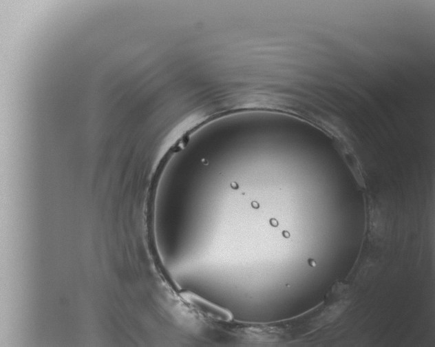 X0000077381138200610271939