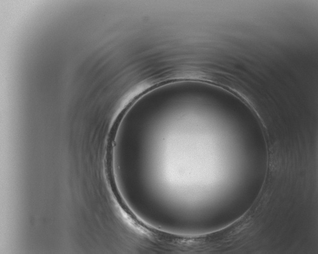 X0000077381139200610271939