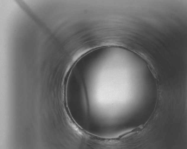 X0000077381140200610271939