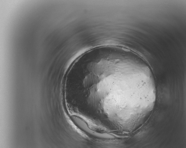 X0000077381142200610271939