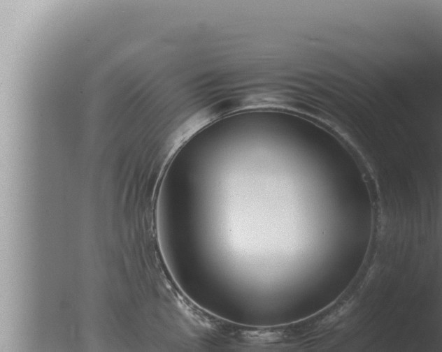 X0000077381145200610271939