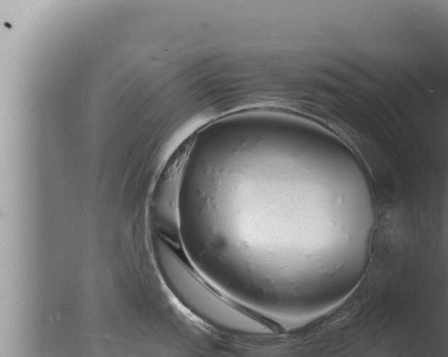 X0000077381151200610271939