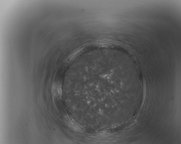 X0000077381155200610271938