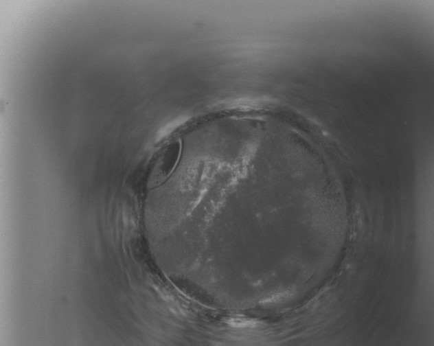 X0000077381158200610271938