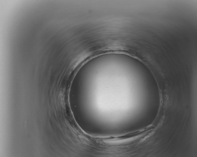 X0000077381162200610271938