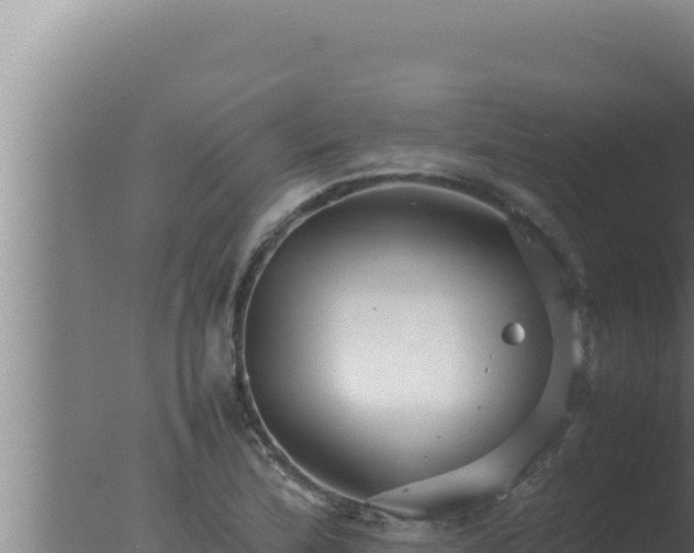 X0000077381172200610271938