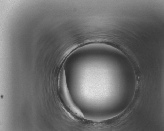 X0000077381177200610271938