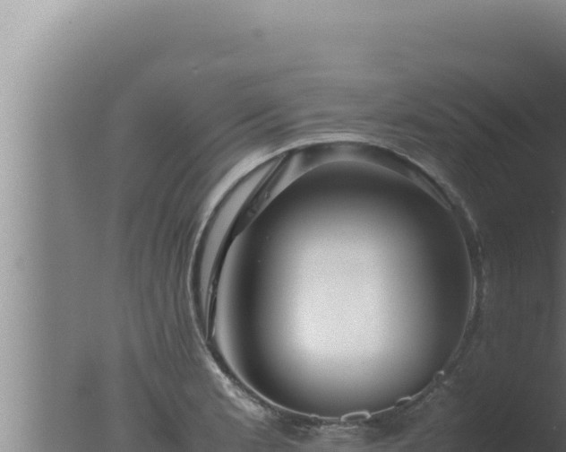 X0000077381181200610271938