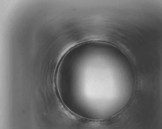 X0000077381182200610271938