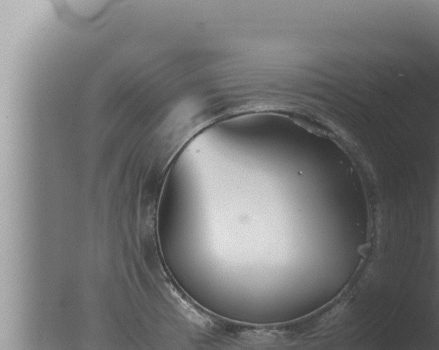 X0000077381185200610271938