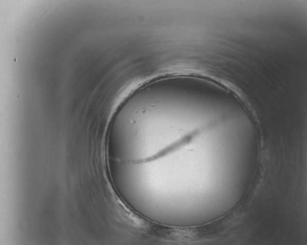 X0000077381191200610271938