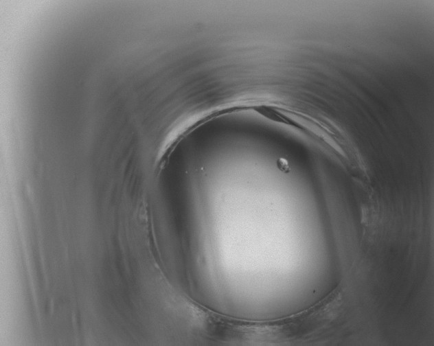 X0000077381192200610271938