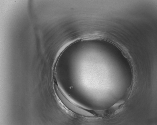 X0000077381200200610271938