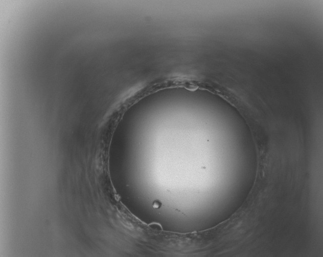 X0000077381207200610271937