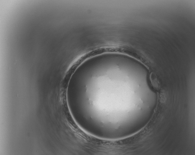 X0000077381208200610271937