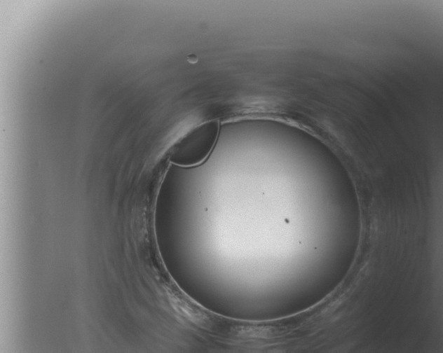 X0000077381211200610271937