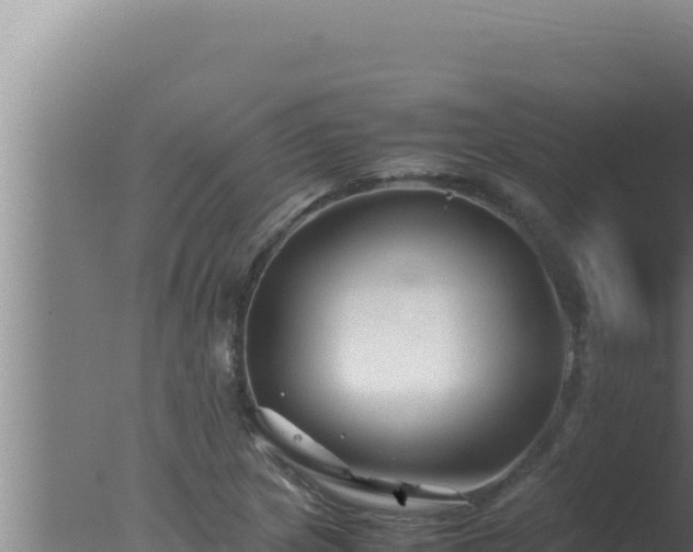 X0000077381217200610271937