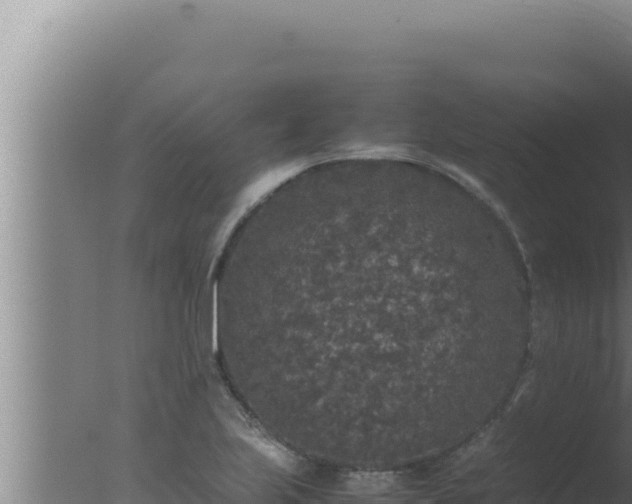 X0000077381223200610271937