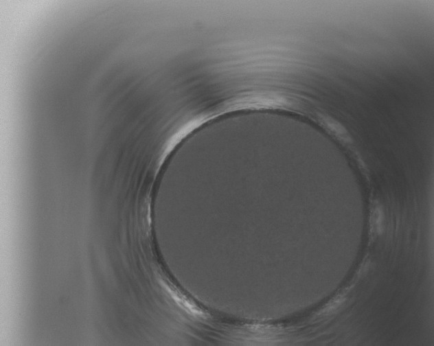 X0000077381226200610271937