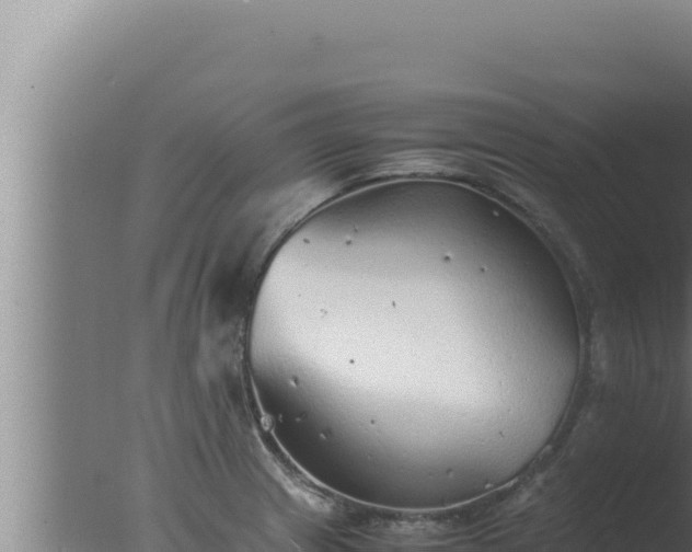 X0000077381233200610271937